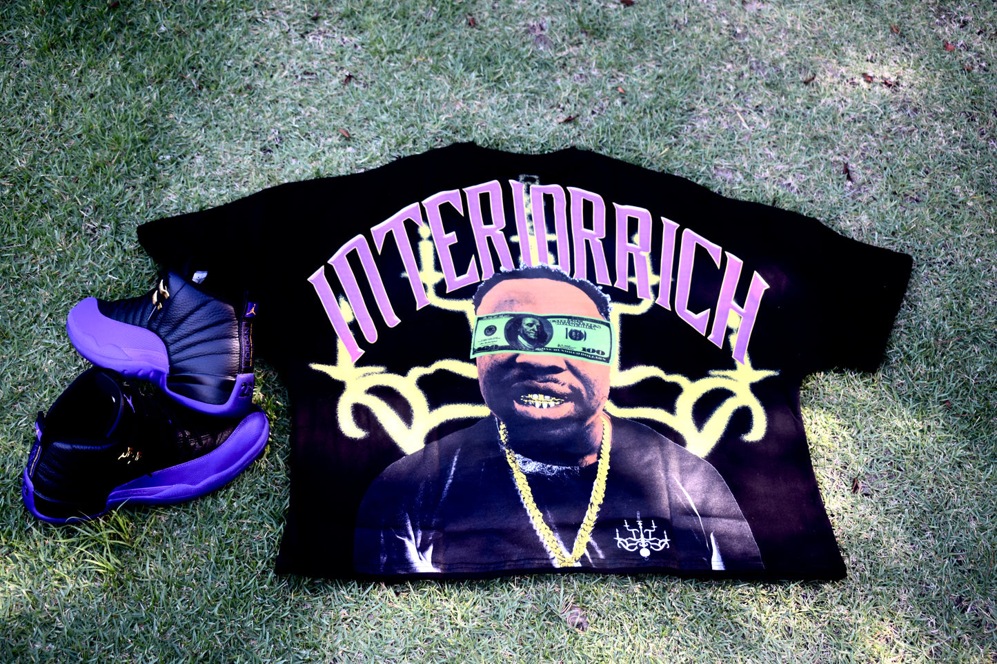 Interior Rich Cropped Boxy T-shirt